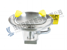 Eyewash Wall Mounted / Industrial Safety Shower (SFT-0593) Wall-mounted Eyewash