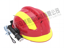 F2 Helmet (ANHANG)